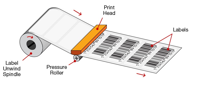 The Difference Between Thermal Transfer And Direct Thermal Printing Allmark Chennai India 0995